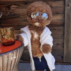 House of Disco (Extended Version)