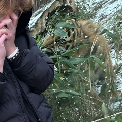 I wanna look decent for winter so im starving myself