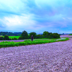 Didibondi - Sturmfront (Instrumental)