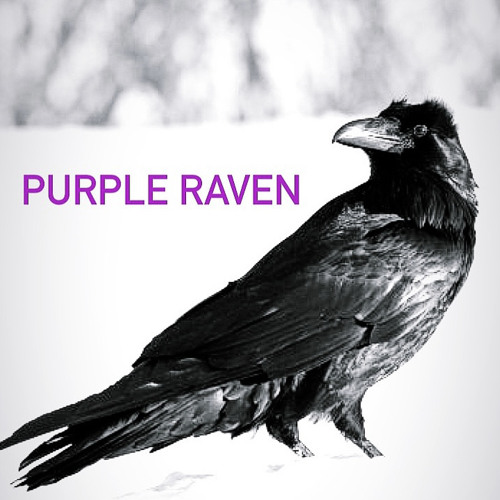 Purple Raven