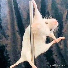 look who's inside again ★ Bo Burnham