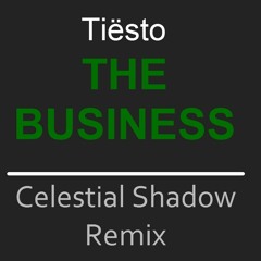 Tiësto - The Business (Celestial Shadow Remix)