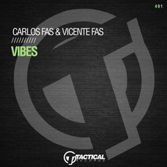 Carlos Fas & Vicente Fas - Vibes