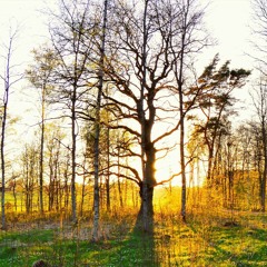 𝚂𝚙𝚛𝚒𝚗𝚐