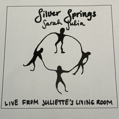 Silver Springs (live)