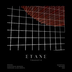PREMIERE > Etane - Transfix (Ulises Arrieta Remix)[QUIXOTICAL RECORDS]