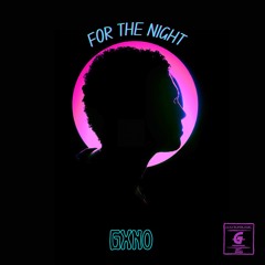 For The Night (Official Audio)