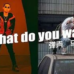 弹壳 马思唯《What do you want》