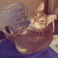 Nuit_toile_sur_le_Rhne