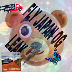 FLYING IN JAPAN LEAK (prod. avtivist) new and improved remasted visited 2025 new ai chat gpt 4.0