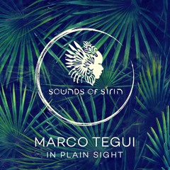 Margo Tegui - Chasing The Sun (Greg Pidcock Remix)[SIRIN028]