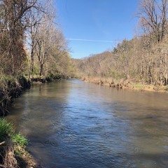 Art Of Trees: Hydrophone in the Kokosing River, No. 2