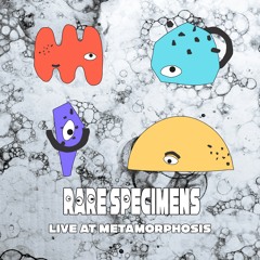 Live at Metamorphosis