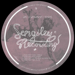 PREMIERE: Joe Lewandowski - Icarus Part 1​(​Wish I Could)[Sengiley Recordings]
