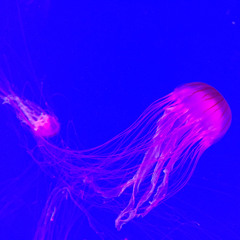 041122 01 loop b116.mp3