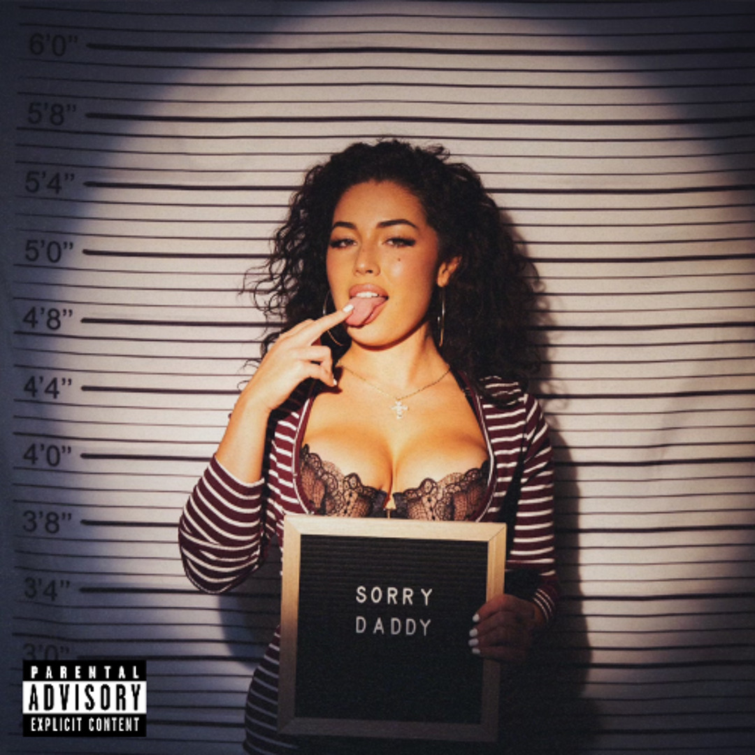 洋楽 Sweet Daddy Ceville - Partners In Crime 洋楽 Sweet Daddy Ceville - Partners In Crime Sweet Daddy Ceville