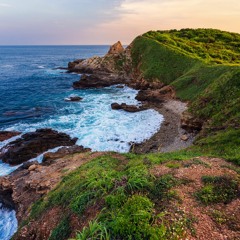 mazunte en agosto