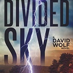 GET [EPUB KINDLE PDF EBOOK] Divided Sky (David Wolf Mystery Thriller Series Book 13) by  Jeff Carson