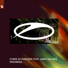 Insomnia (feat. Amin Salmee)