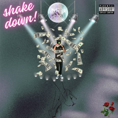 dhouseee - shake down