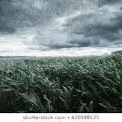 Holycrapiforgottosave