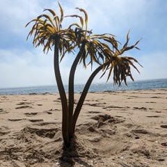 220209 Space Travels