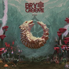Dry Groove - Prasi (Original Mix)