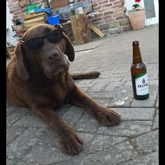 karpfenteich beats