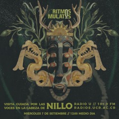 Programa de Radio XIV: Nillo