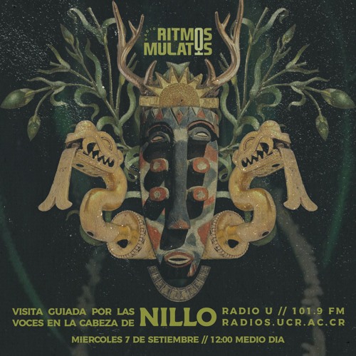 Programa de Radio XIV: Nillo