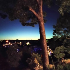 Where do I go from here?