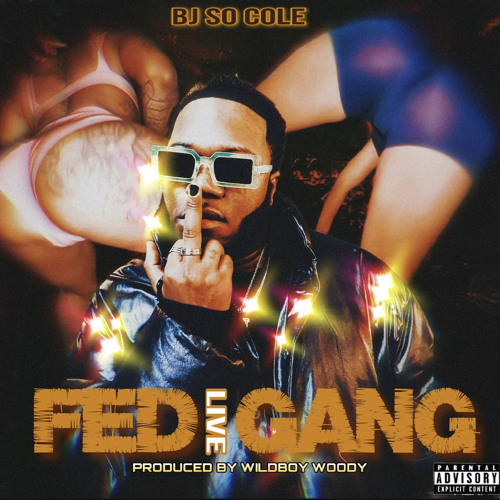 FED GANG REMIX FT WILDBOYWOODY