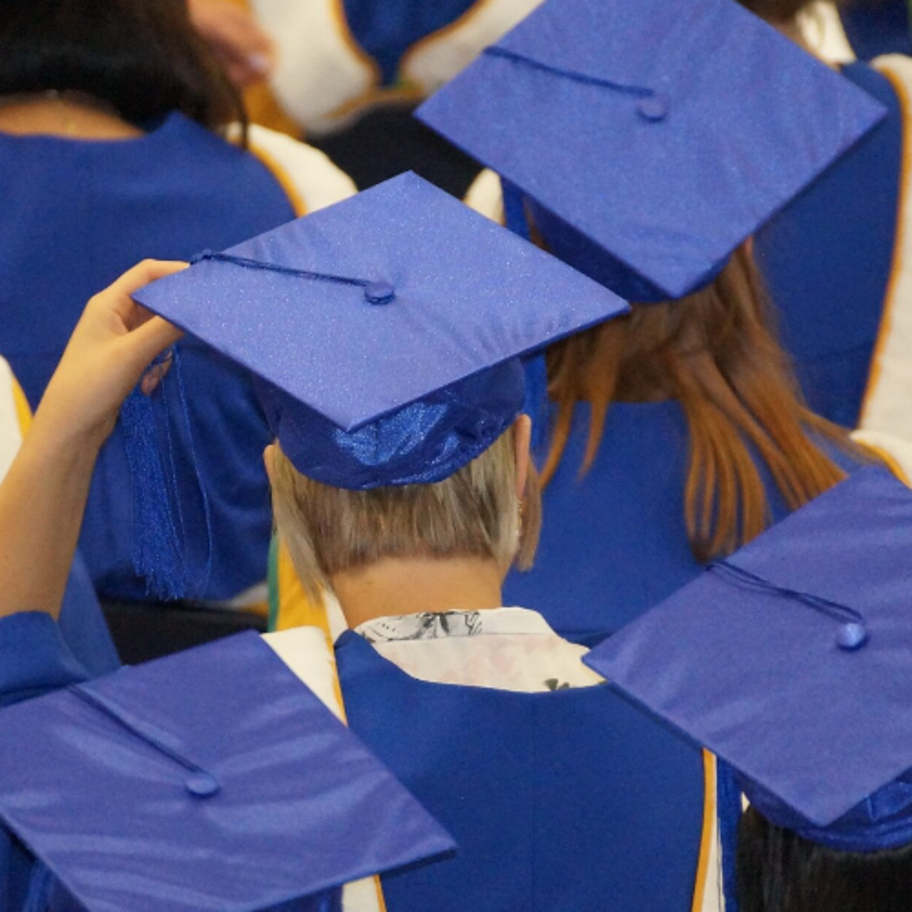 2025 Grads on their Job Prospects