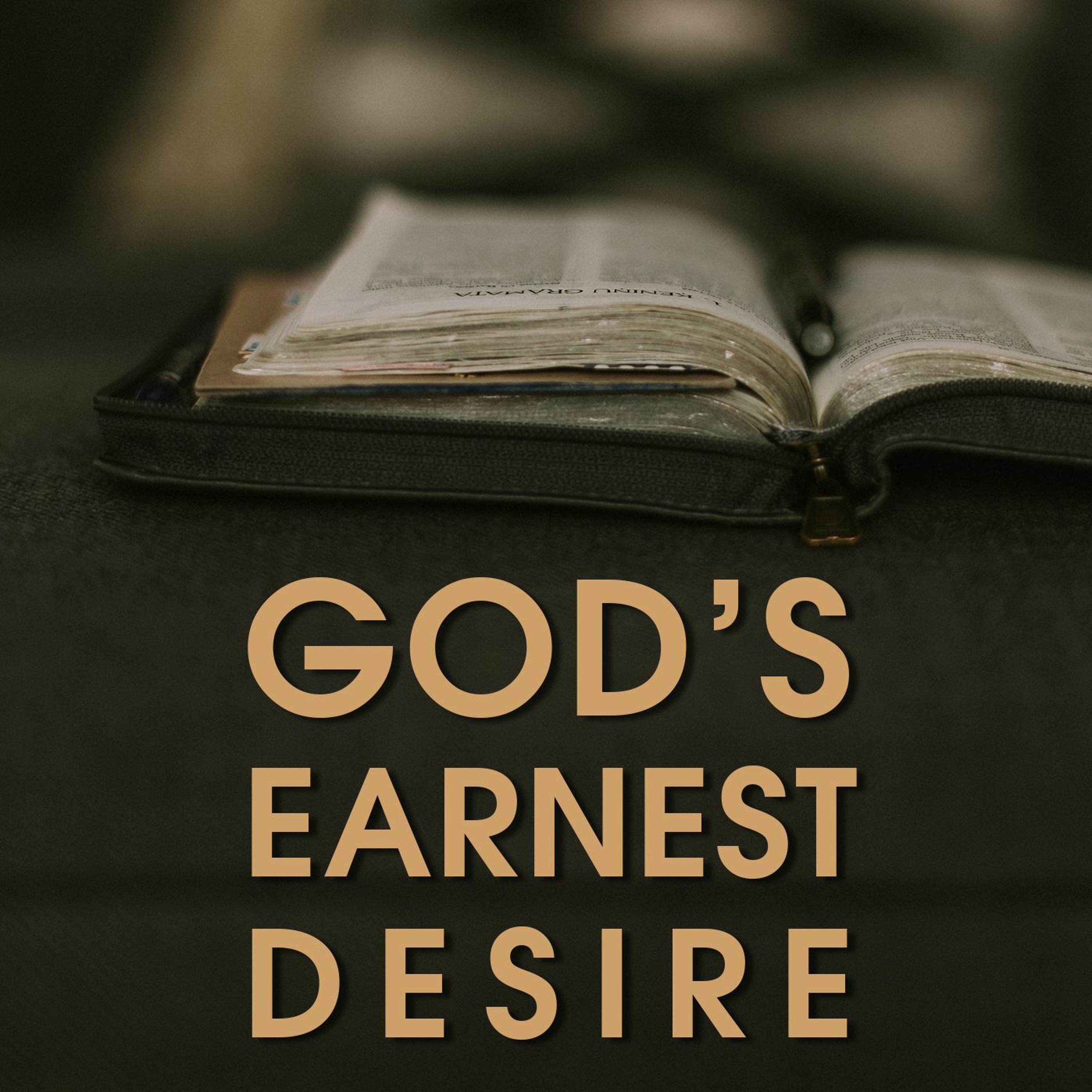 God's Earnest Desire episode artwork