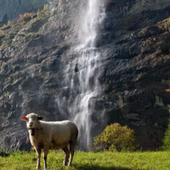 James Hype - Waterfalls (DnB bootleg by Dr. Goodspeed) - Free DL