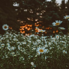 Miki Matsubara-  真夜中のドア 「Mayonaka no Door /  Stay with me」| Mica V Cover