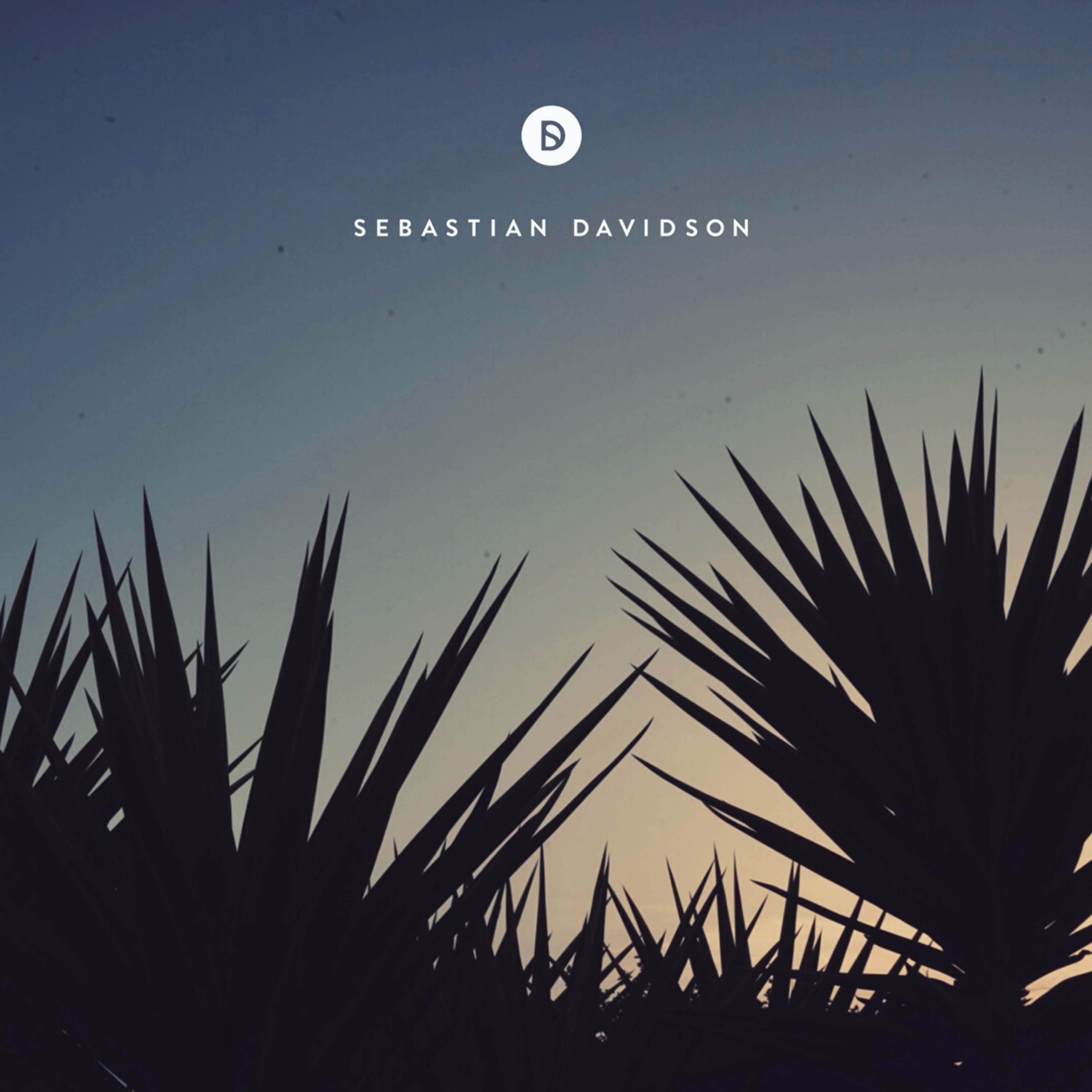 Voyage of Discovery by Sebastian Davidson