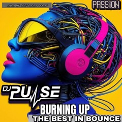 DJ Pulse Burning Up