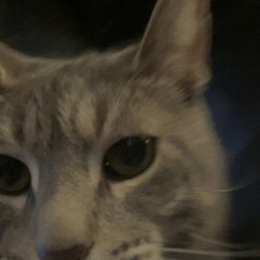 ༒PERIL༒*feat.NOXAZAMIA*(prod.angelsuffers/sekira)