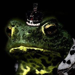 Seigneur Crapaud