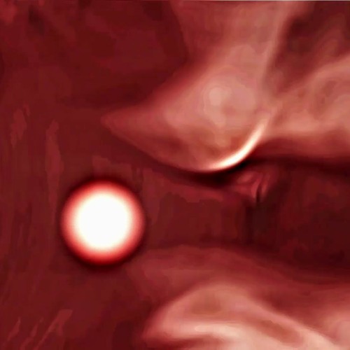 Longevity, Part 4: The Sedulous Heart