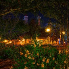 Belle's Cottage Nighttime Sounds
