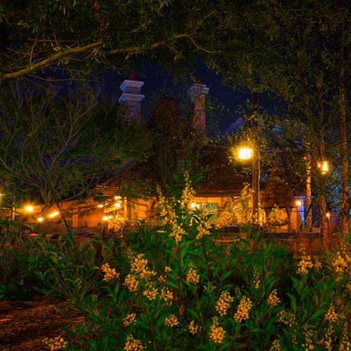 Belle's Cottage Nighttime Sounds