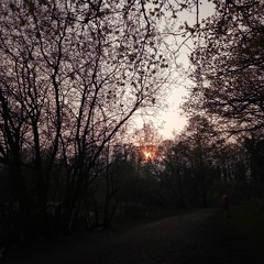 Fall Away Into The Ocean Bed