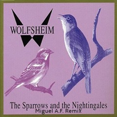 Wolfsheim - The Sparrows And The Nightingales (Miguel A.F. Progressive Mix)[FREE DOWNLOAD]