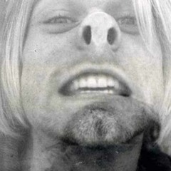 feels - SMILE FOR THE CAMERA