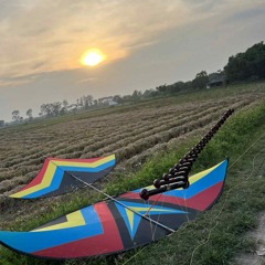 em nằm em nhớ 🌞