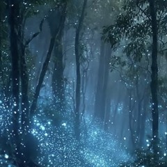 TJ light stepper.mp3