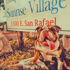 H15D Trophys Feat Smokey