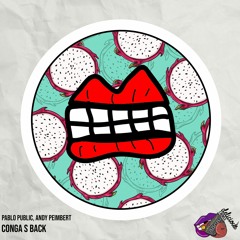 Pablo Public, Andy Peimbert - Conga S Back [Delicious Rebels]